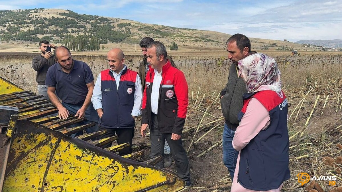 Çorum'dan Türkiye'ye Ayçiçeği Modeli: Çankırı'nın Gözü Neden Bu Şehirde?