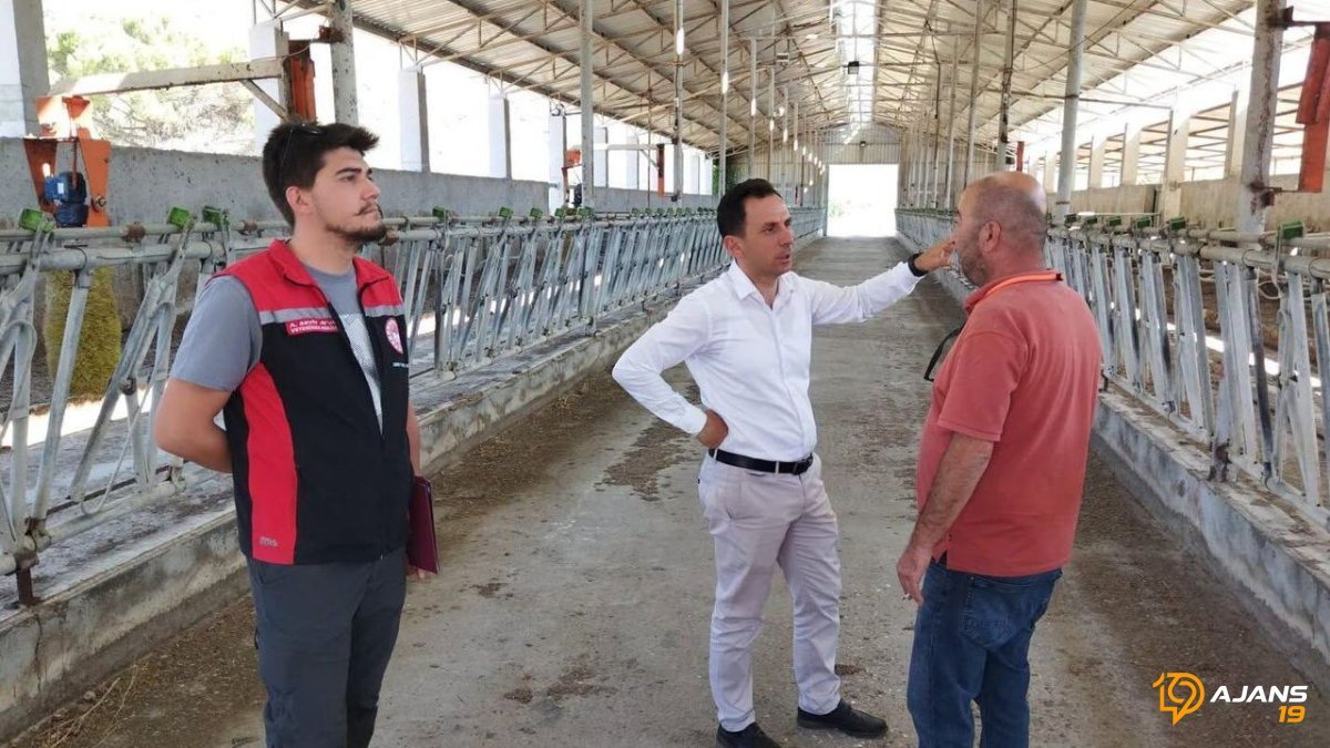 Kargı'da Sığır İthalatı Operasyonu: Gizli Kalması Gereken İnceleme Sona Erdi mi?