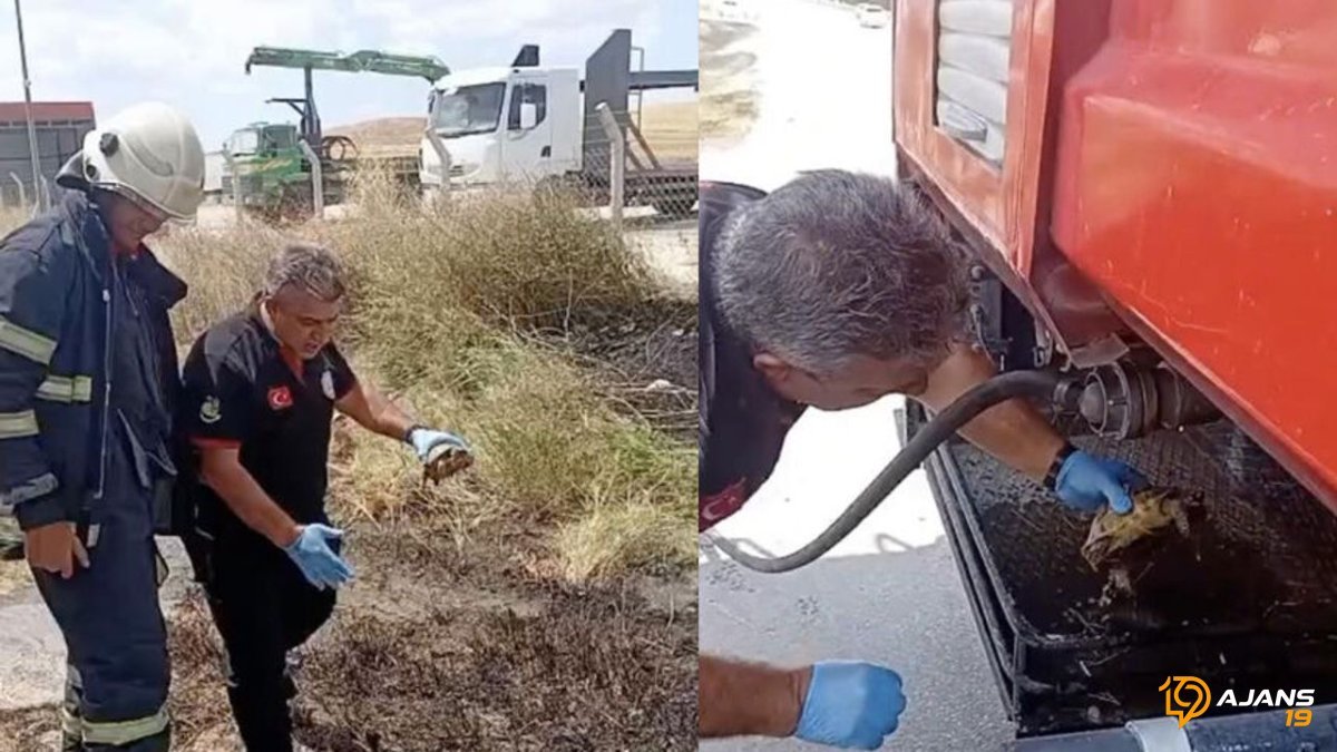Yangından Kurtarılan Minik Can: İtfaiyenin Şefkati Sınır Tanımadı!