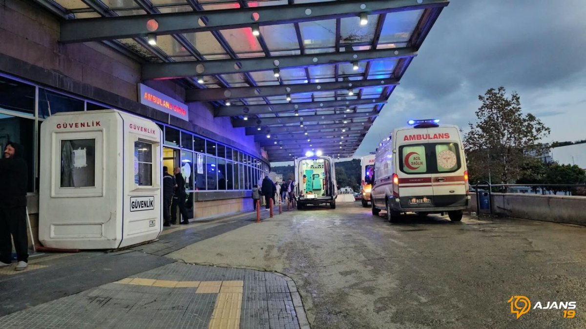 Ceviz Ağacından Düşen Emeklinin Korkunç Sonu! Olay Yerinde Yapılanlar Yeterli Olmadı...