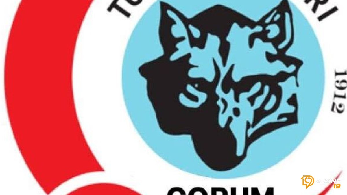 TBMM'ye ŞOK Yaptıran Çağrı: Türk Ocakları'ndan 'Hayır' Sinyali! Hangi Yasa Görüşülüyor?
