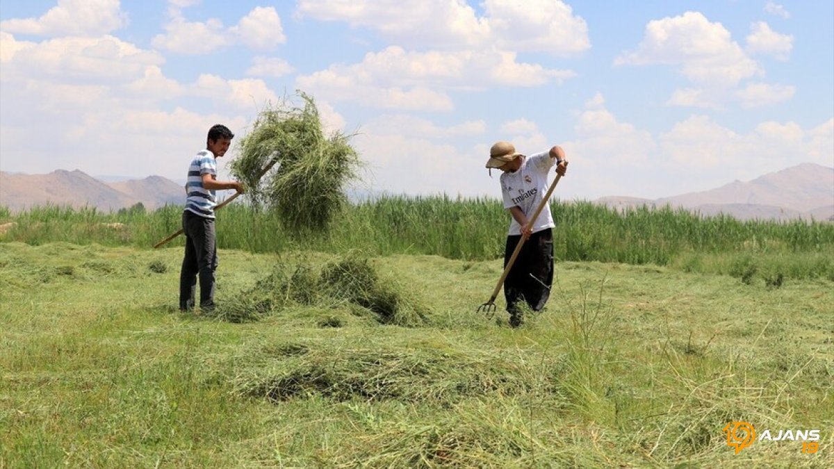 Van Gölü'nde Sürpriz Canlanma: Kuraklık Korkusu Yerini Bereket Umuduna Bıraktı!