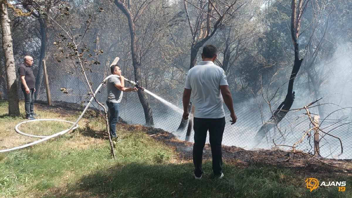 Tarlada Başlayan Ateş Can Aldı: Kümesinden Çıkamayan 100 Kanatlı Dostumuzu Kaybettik!