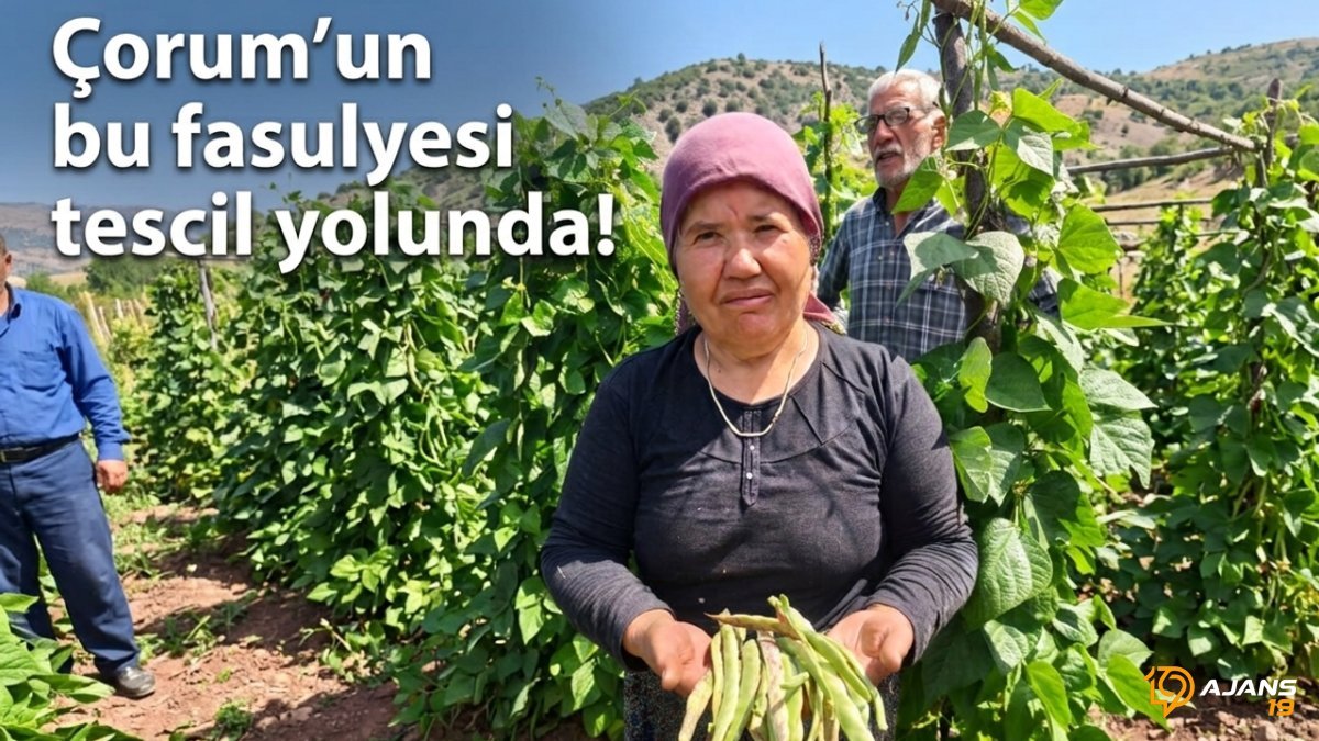 Kızılpınar'ın Gizli Hazinesi Coğrafi İşaretle Taçlanıyor: Bu Fasulyenin Sırrı Ne?