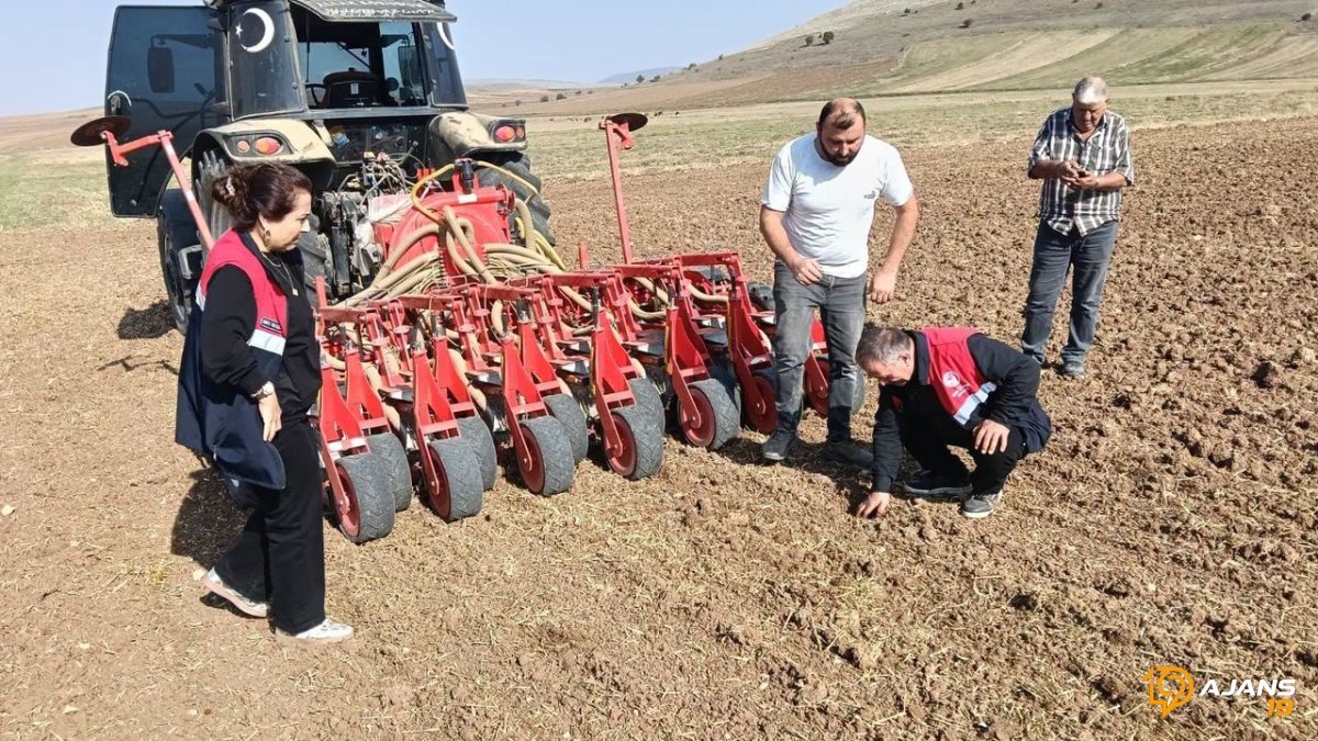 Mecitözü'nde Tarımsal Devrim: Kanola Tarlalarıyla Bölge Ekonomisi Şaha Kalkacak!