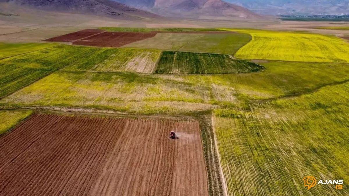Bayat'ta Tarihi Fırsat: 4 Hazine Arazisi İhale ile Yeni Sahiplerini Arıyor!