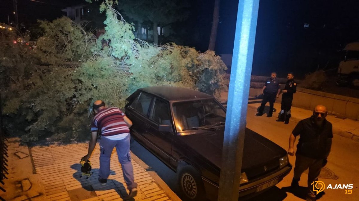 Çorum'u Sarsan Doğa Olayı: Fırtınanın Kurbanı Olan Ağaçtan Yürek Hoplatan Manzaralar!