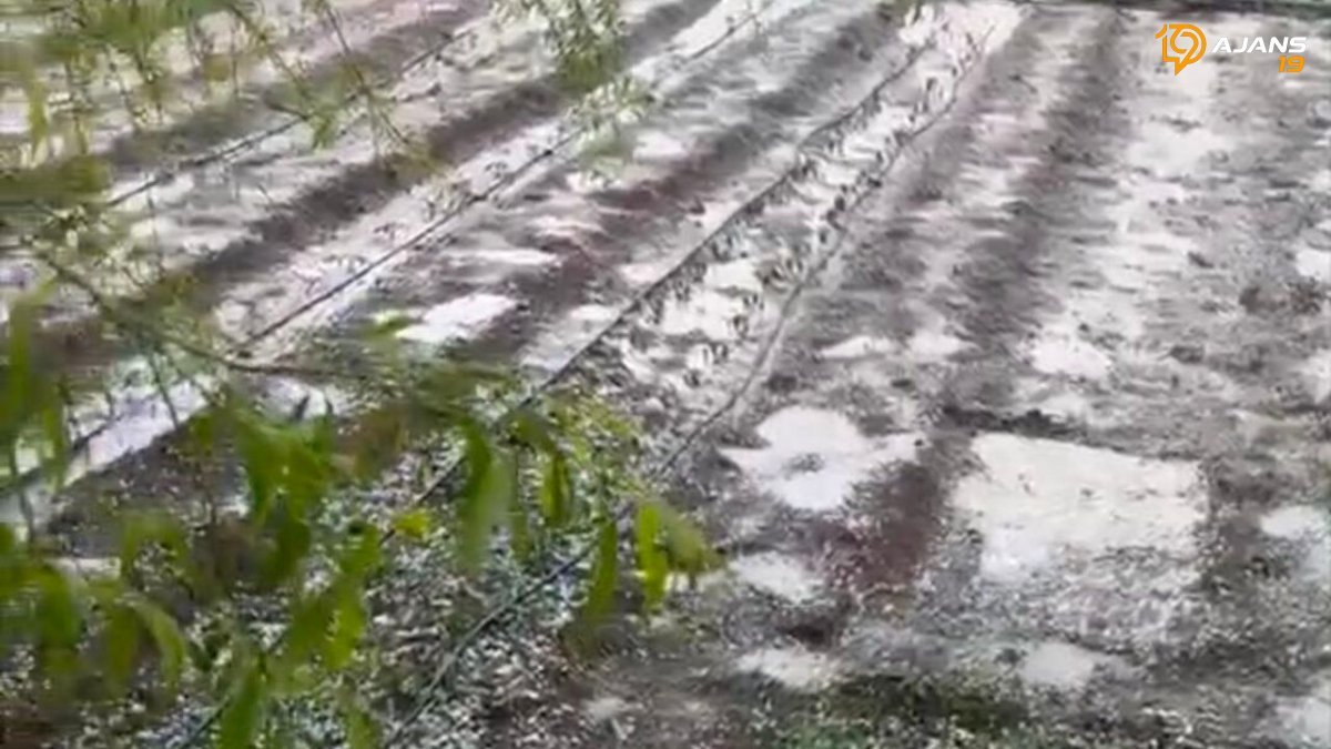 Kırkdilim'de Dolu Felaketi: Hobi Bahçeleri Harabeye Döndü, Emekler Zayi Oldu