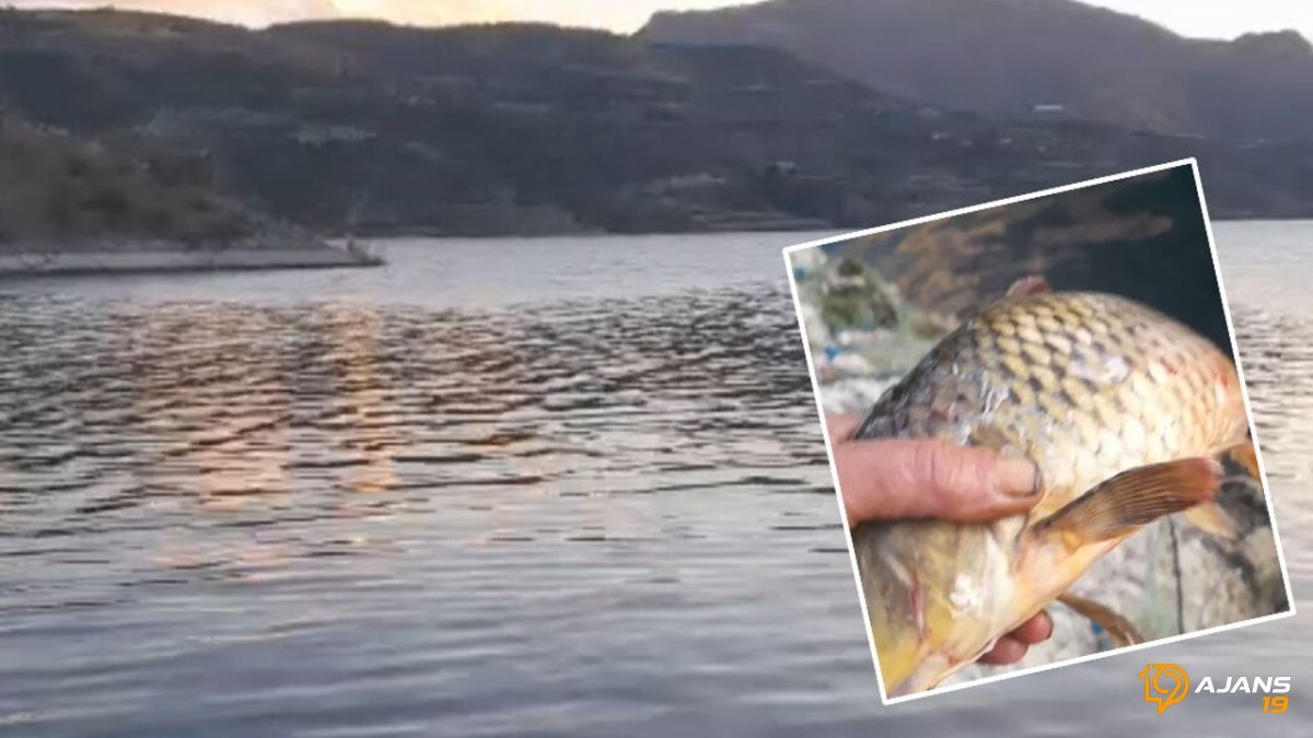 Obruk Barajı'nda Tüyler Ürperten İddia: Yasak Ağlarla Yüzlerce Can Öldü, Ekolojik Felaket Kapıda mı?