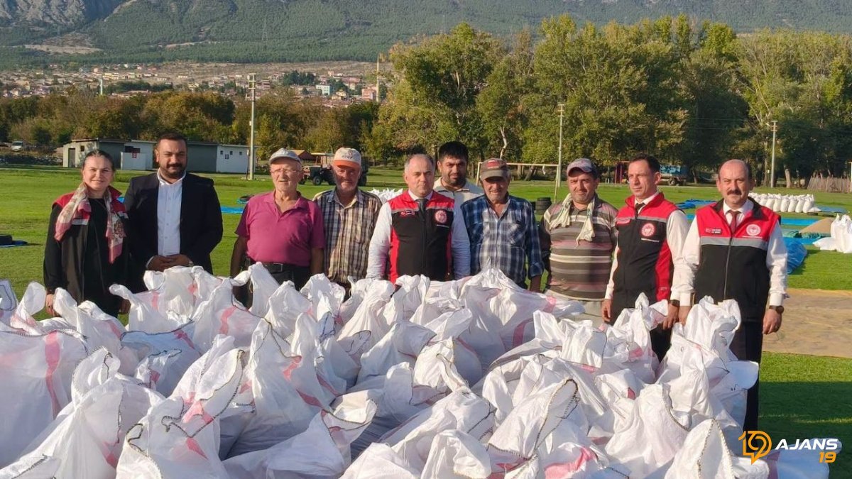 Pirinç Tarlalarından Lezzet Yolculuğu Başladı: Kargı'da Hasat Heyecanı Zirvede!