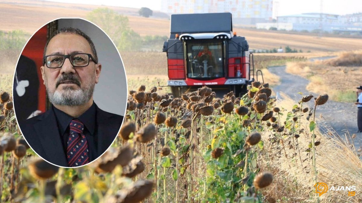 Ayçiçeği Çiftçisine Büyük Müjde! Ton Başına Rekor Fiyat Kapıda: İşte Yeni Sezon Alım Fiyatı!