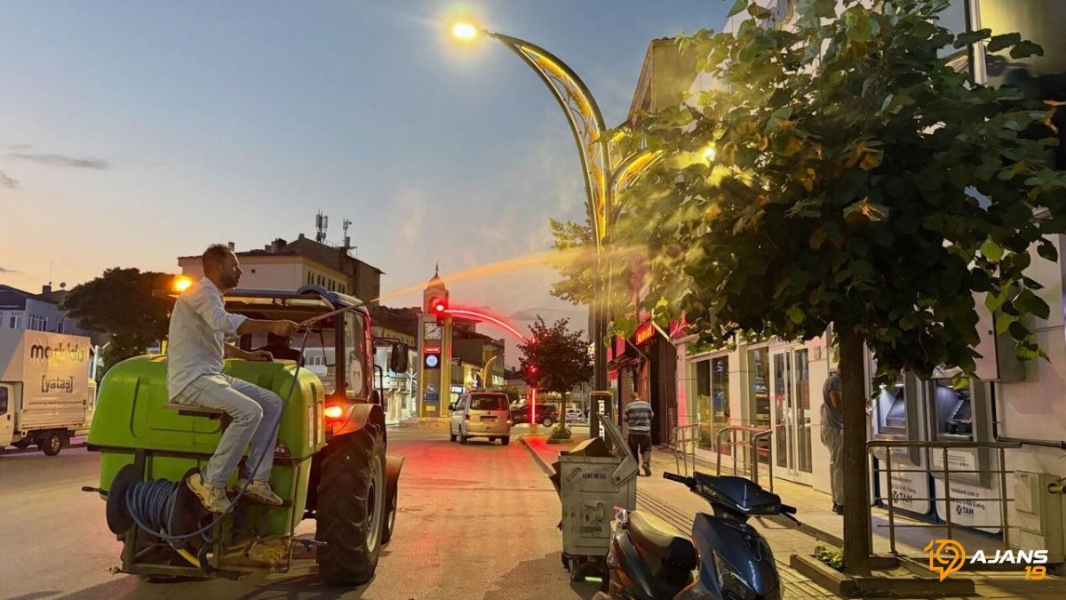 Sivrisinek İstilası Kapıda! Alaca'da Gece Gündüz Savaş Sürüyor: Hangi Tehlikeler Bekliyor?