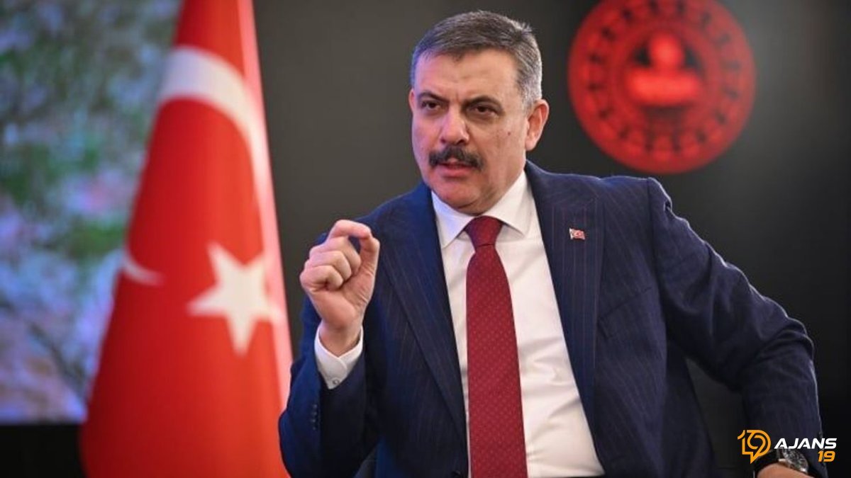 Sokak Köpekleri İçin Kapsamlı 'Toplama' Hamlesi Başlıyor: Yılbaşına Kadar Tüm Canlar Barınakta Olacak!