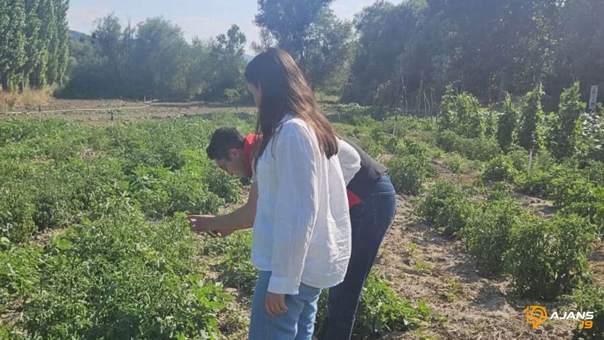 Ortaköy'de Topraklar Mercek Altında: Kimler Tarım Arazilerini Gözüne Kesti?