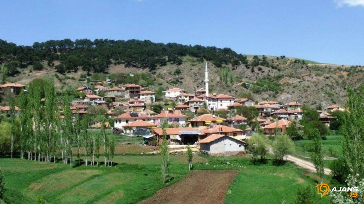 8 Hazine Arazisi Göz KAMAŞTIRDI! Çorum'da Büyük Satış Başlıyor: Fırsatı Kaçırmayın!