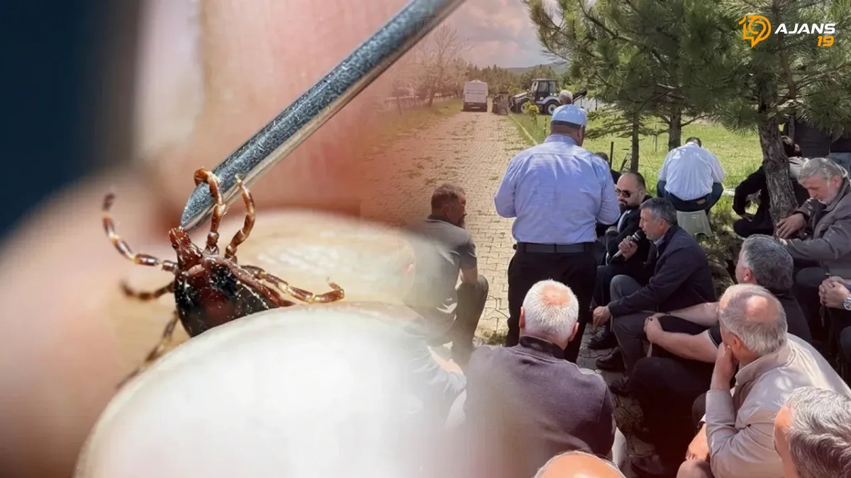 Yozgat'ta Yürek Burkan Vaka: Kene Isırığı 15 Yaşındaki Gencin Hayatına Mal Oldu