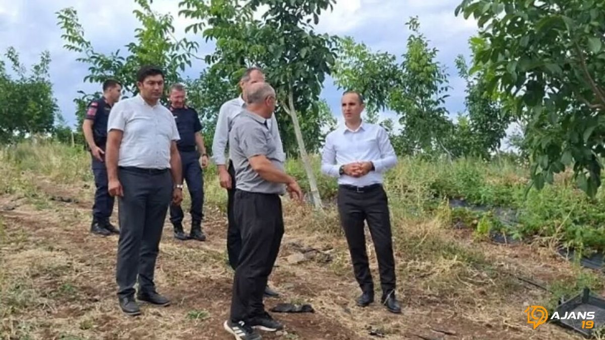 Kaymakamın Tarım Arazisi Turu Sır Perdesini Aralıyor: Ceviz ve Çilek Bahçelerinde Ortaya Çıkanlar Şaşırttı!