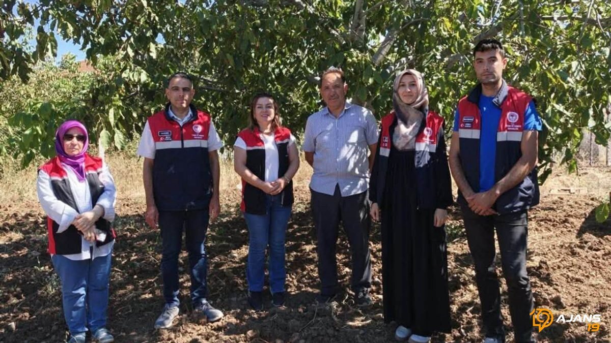Oğuzlar'da Ceviz Bahçelerinde Gizlenen Büyük Sır Ortaya Çıktı! İyi Tarım Uygulamaları Sona Geldi Mi?