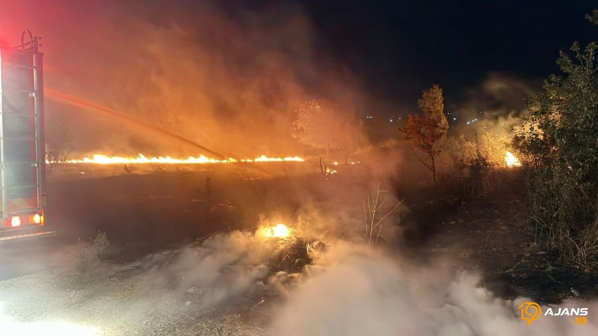 Çorum'da Yaz Sıcağında İtfaiye Nefes Kesti: 225 Yangına Kahramanca Müdahale!