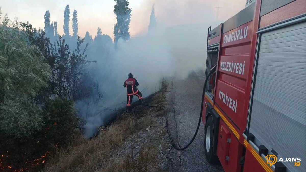 Ağustos Ayı Kabus Gibi Geçti: Sungurlu'da Bir Ayda 305 Yangın Birdenbire Alevlendi!