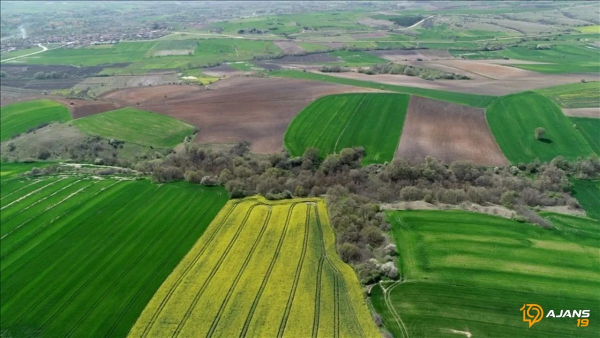İskilip Belediyesi'nden Büyük Hamle: Göz Kamaştıran Fiyatlarla 7 Arsa Satışa Çıkıyor! Fırsatı Kaçırmayın!