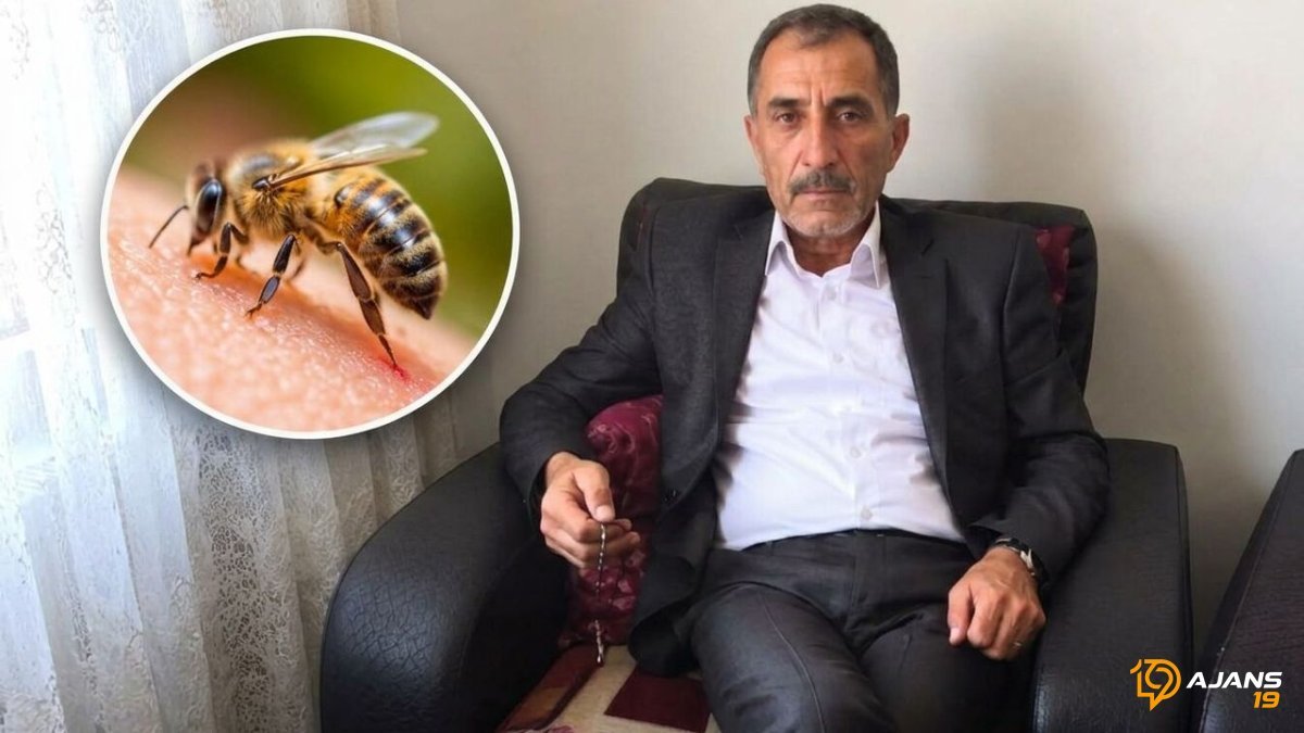 Arı Sokması Hayatından Kopardı: 59 Yaşında Acı Kayıp!