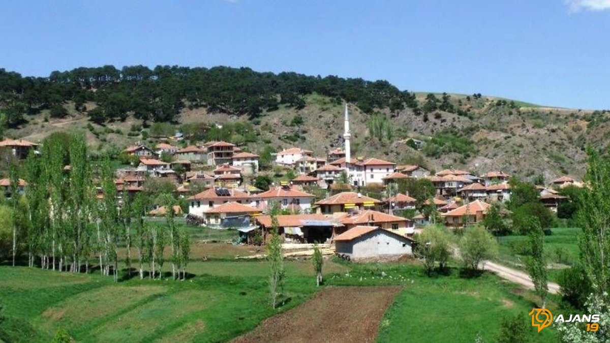 Çorum'da Topraklar Kök Salıyor: Hazine'den Dev Satış Hamlesiyle 2 Köyün Kaderi Değişiyor!