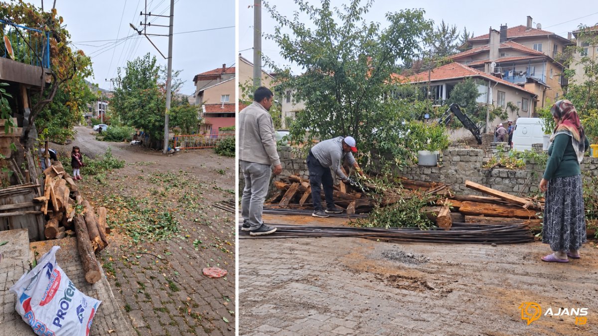 Kaldırım yapmak için ağaçları kestiler! Mahalleli tepkili