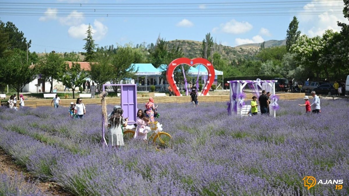Lavanta Kokusu Geri Dönüyor: O Meşhur Bahçe Yeniden Kapılarını Aralıyor!