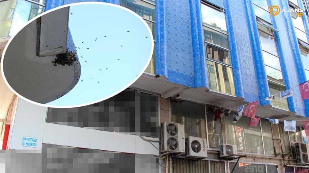 Çorum’da sokakta arı paniği: Esnaf uzaklaştırdı