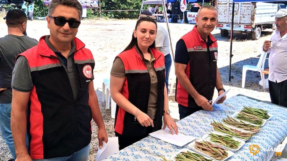 Fasulyenin 'Altın Değeri' Kızılpınar'da Konuşuldu: 19. Yılın Şampiyonu Kim Oldu?
