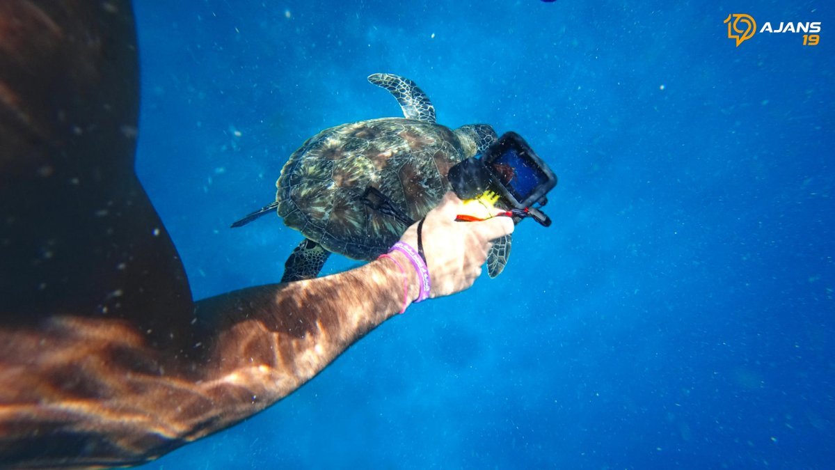 ŞOK SATIŞ SİNYALİ! Aksiyon Kamerası Devi GoPro Çinlilere Karşı Ağır Yenilgi Aldı: Tahtını Kimler Sallıyor?