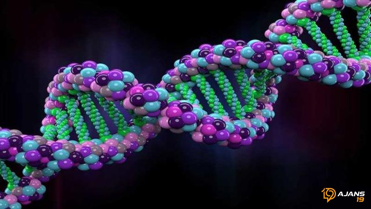 Kendi DNA'nızla Sohbet Edin: Karşınızda Devrim Yaratan Yapay Zeka Teknolojisi!