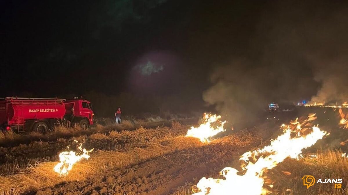 İskilip'te Yangın Kabusu: 20 Bin Dekar Tarım Arazisi Kül Oldu! Anız Yakmanın Bedeli Ağır Oldu