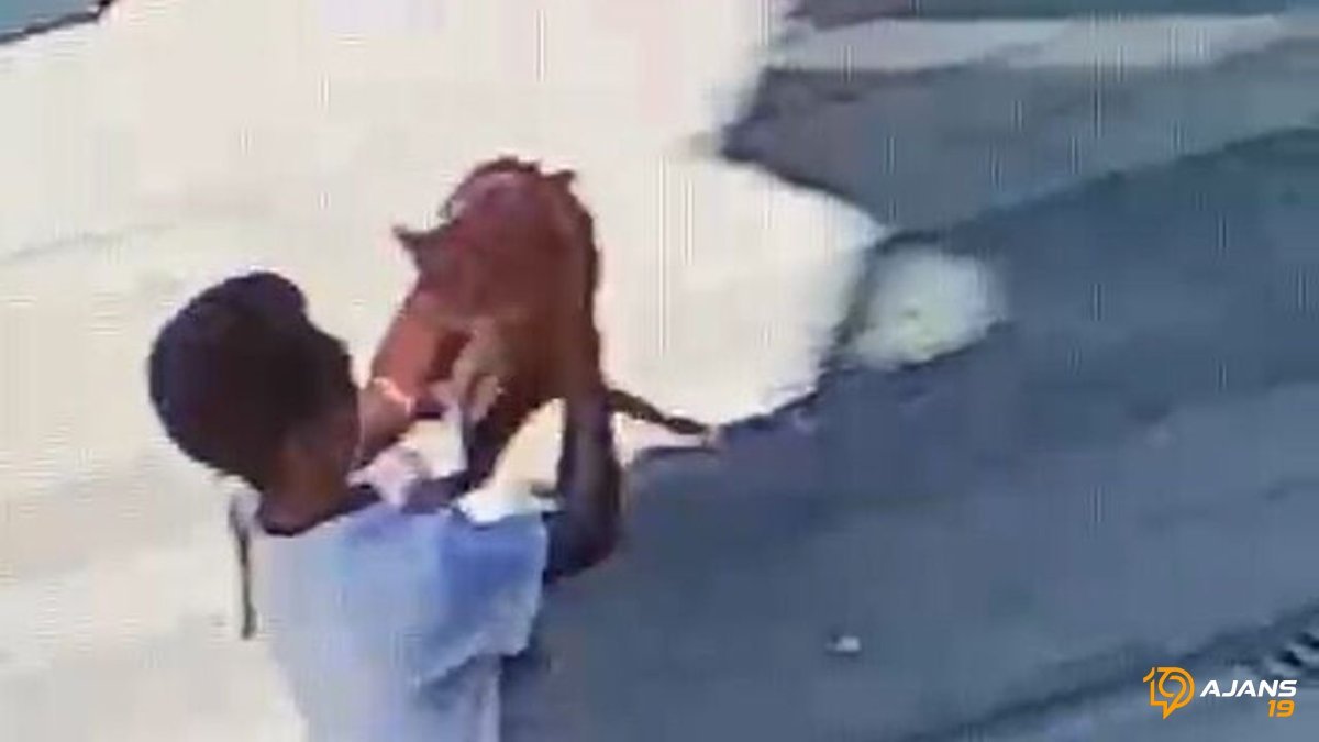 Çorum'da Gözyaşları İçinde Kayıp Kedi İçin Yardım Çağrısı: Çocuğun Kucağındaki Yavruyu Geri İstiyor!