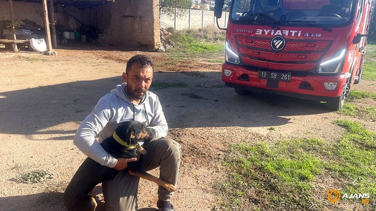 10 Metre Derinlikteki Ölüm Kuyusundan Kahraman İtfaiyecilerle Kurtuldu: Can Dostun Nefes Kesen Kurtarılma Anları!